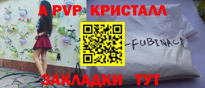 крисы Малгобек