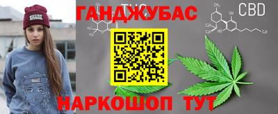 крисы Малгобек