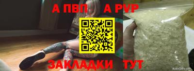 крисы Малгобек