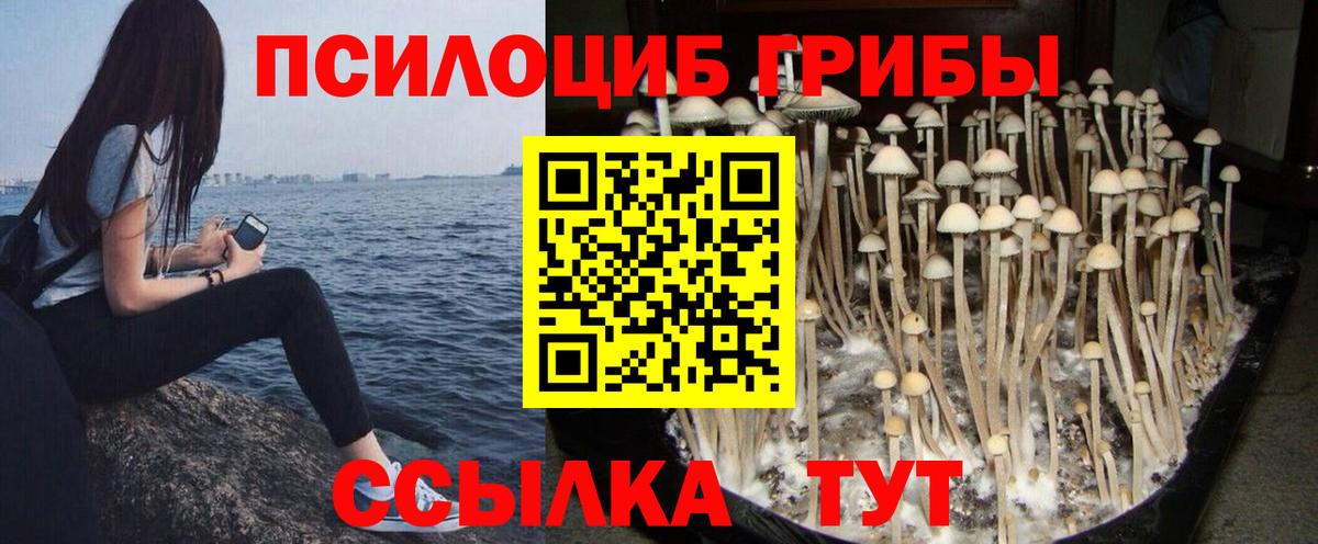 Псилоцибиновые грибы Magic Shrooms  Вход с VPN  Углич  Галлюциногенные грибы прущие грибы 
