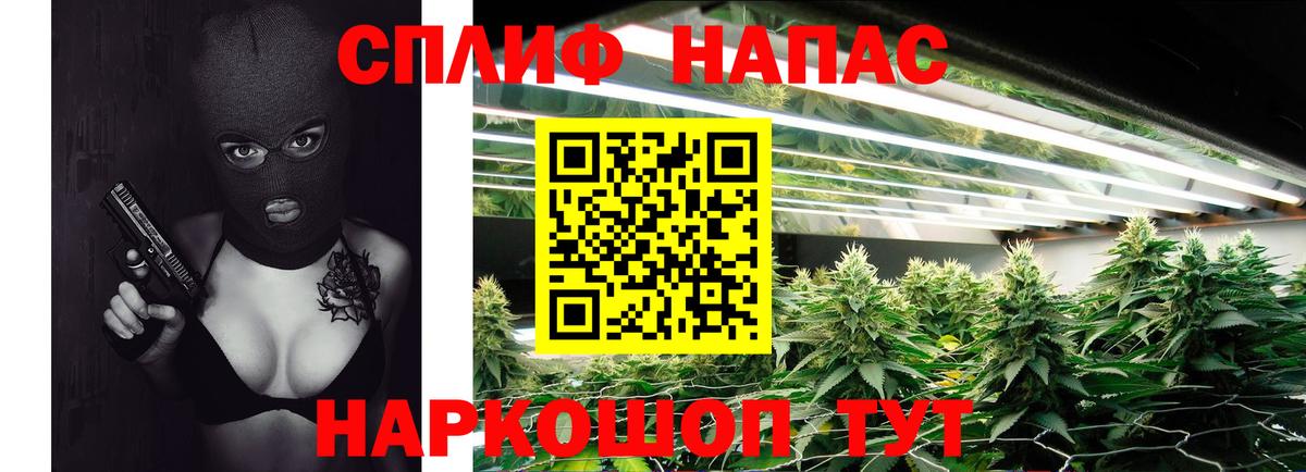Канабис план  Каннабис SATIVA & INDICA  Углич  Канабис ГИДРОПОН  Вход с VPN 